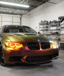 40479698203 1b00735744 o