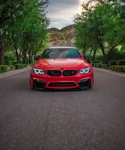 0C7AB649 7221 4A5C 8F8B D3056039EF16