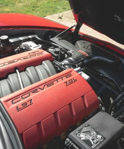 IMG 5196 lowres 5000x