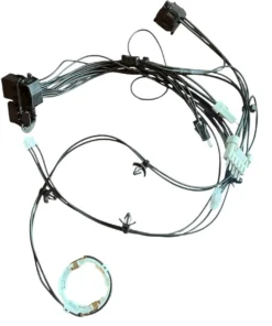 photoroom 20251111 141506