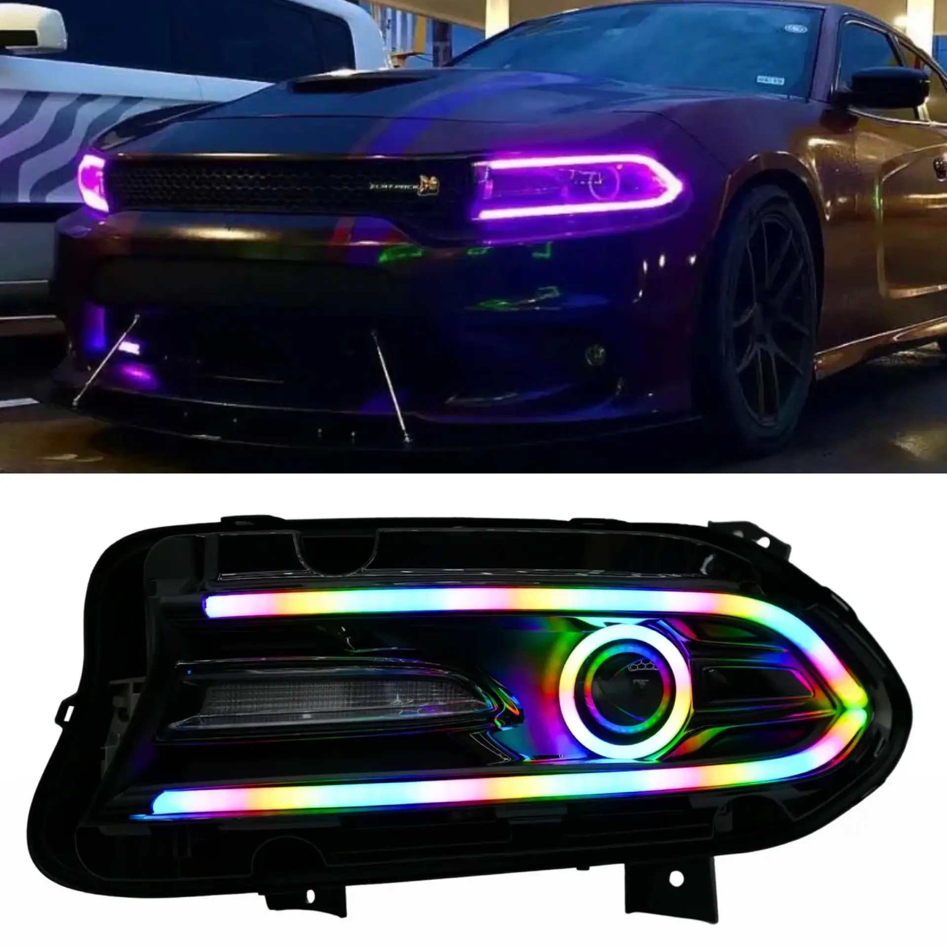 6d421590 74a1 4576 9615 013a4558e22d