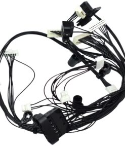 photoroom 20260217 151319