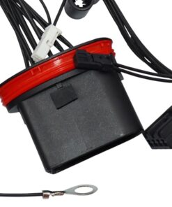 photoroom 20260217 165421