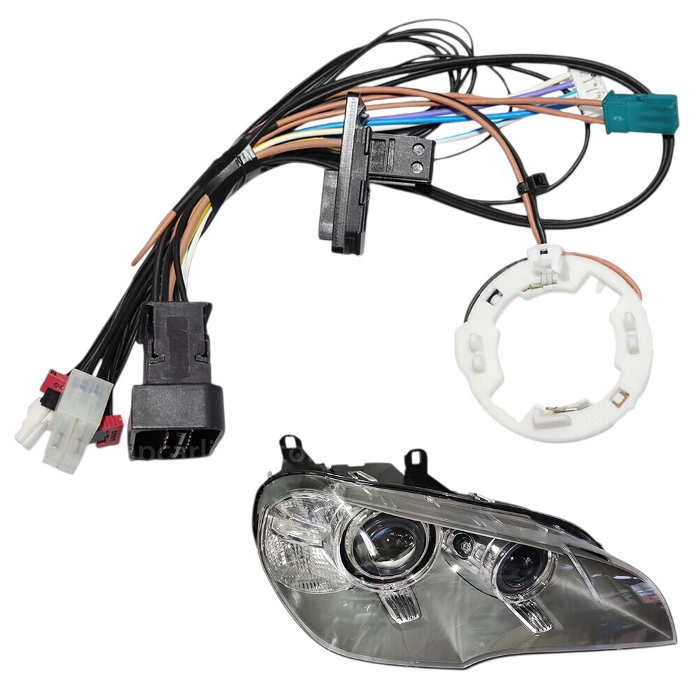 photoroom 20260218 145333