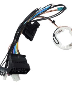 photoroom 20260218 145453